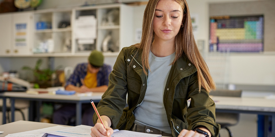 Planejamento de estudos melhora rendimento escolar
