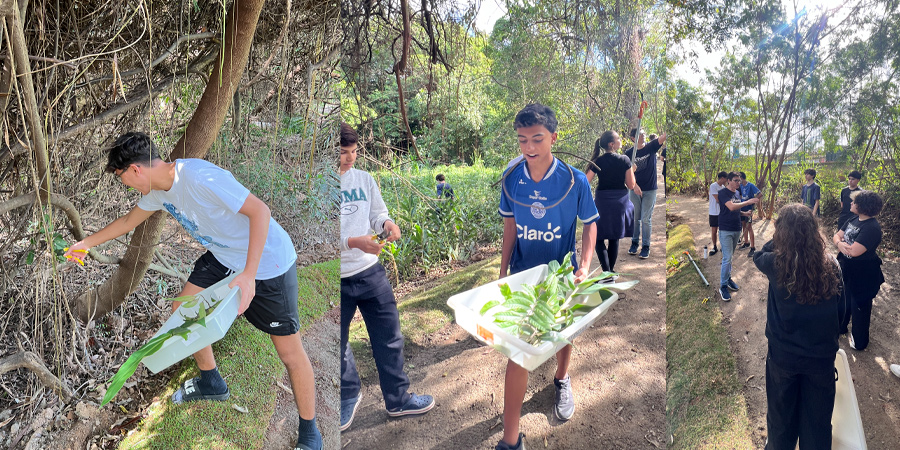 alunos no parque escola do anglo sorocaba 