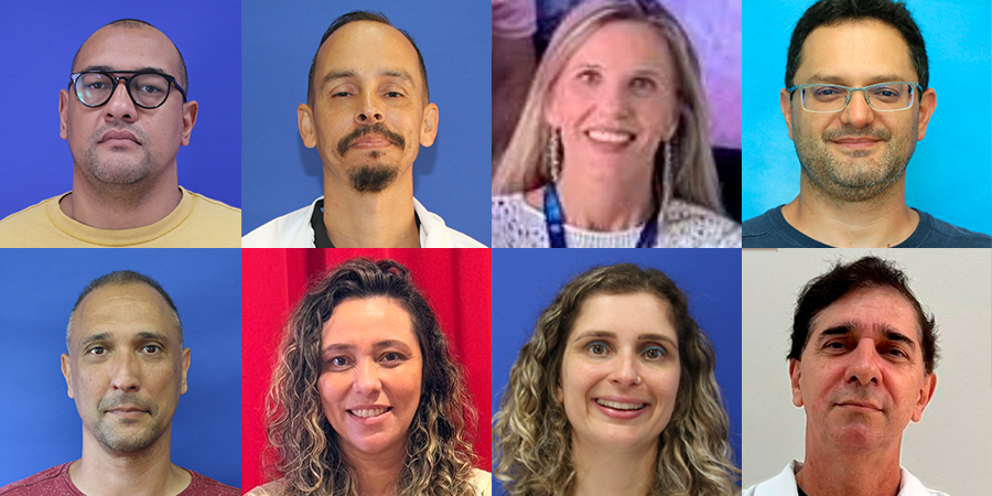 fotos dos professores autores - apenas rosto de cada um 